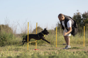 Dog training